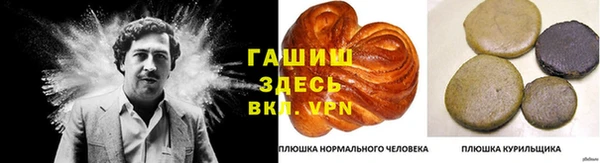 дмт Алексин