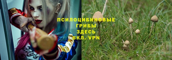 меф Арсеньев