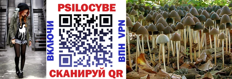 Галлюциногенные грибы MAGIC MUSHROOMS  Курган 